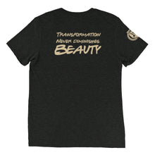 Load image into Gallery viewer, unisex-tri-blend-t-shirt-charcoal-black-triblend-back-63f28f3a9dd90