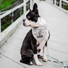 Load image into Gallery viewer, Let&#39;s Go Brandon! #LGB Pet Bandana
